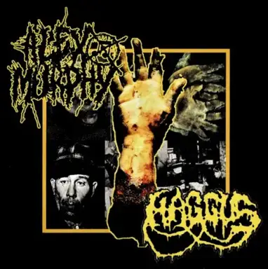 Haggus / Alex Murphy