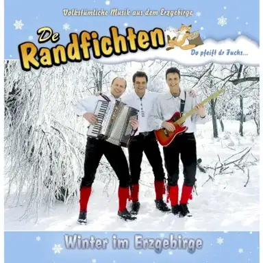 Winter im Erzgebirge