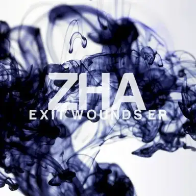 Exit Wounds