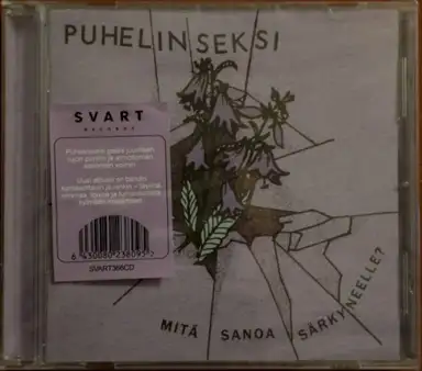 Mitä sanoa särkyneelle?