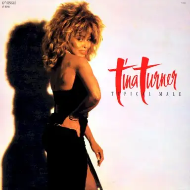 Typical Male (dance mix)