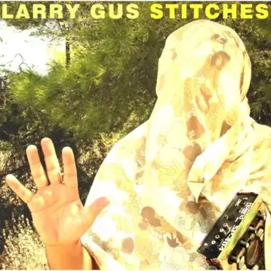 Stitches