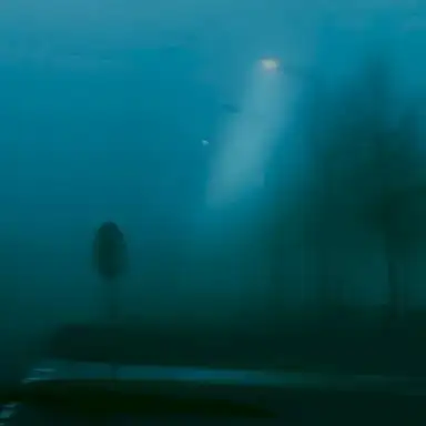 mid‐morning fog