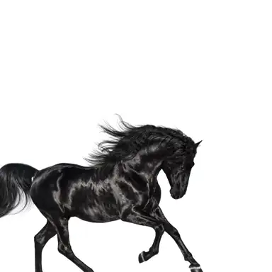 Old Town Road (Seoul Town Road remix)