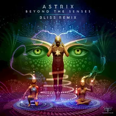 Beyond the Senses (Bliss remix)