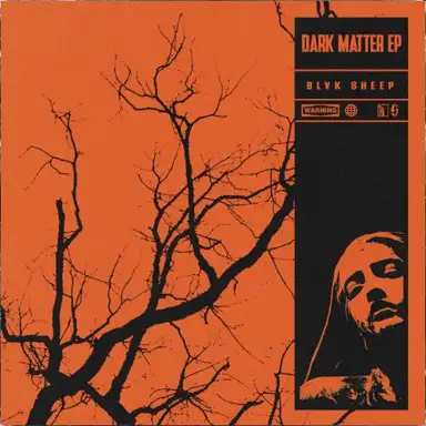 Dark Matter