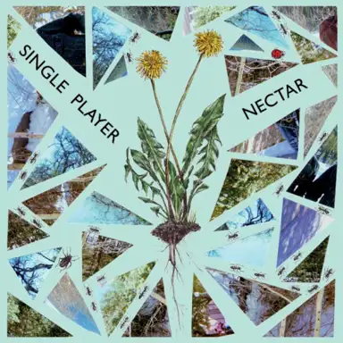 Single Player / Nectar Split