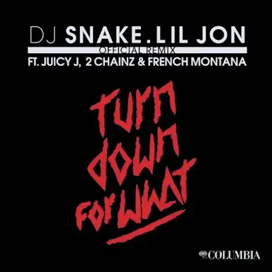 Turn Down for What (official remix)