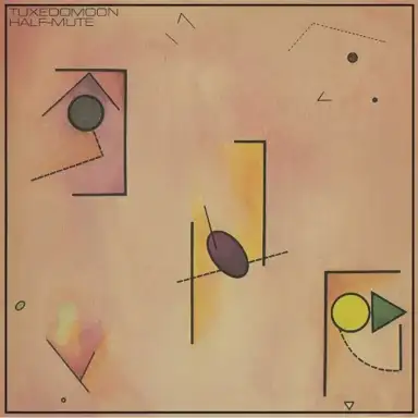 The Vinyl Box