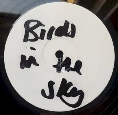 Birds in the Sky