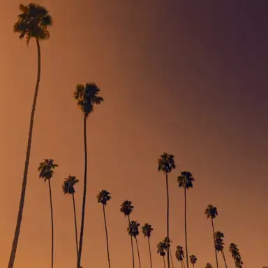Demos For LA
