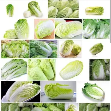 凉拌的凉菜