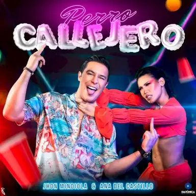 Perro callejero