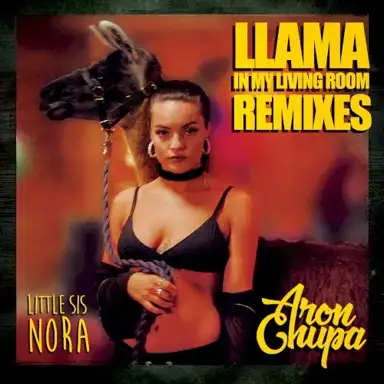 Llama in My Living Room (remixes)