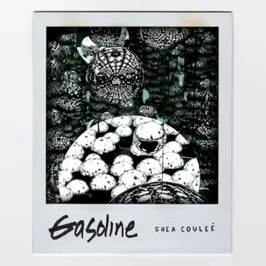 Gasoline