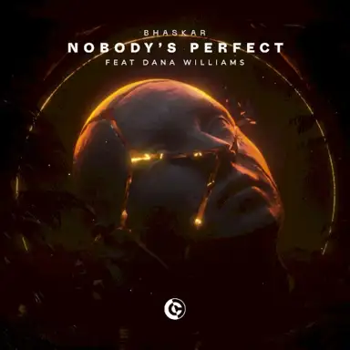 Nobody's Perfect