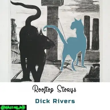 Rooftop Storys