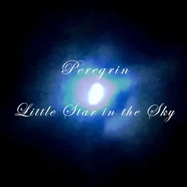 Little Star in the Sky