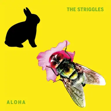 Aloha