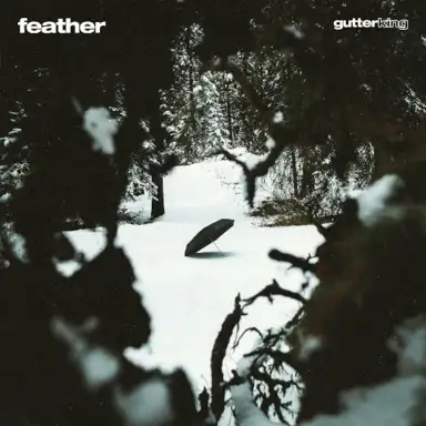 Feather