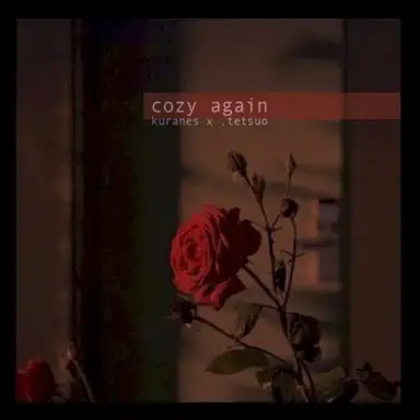 Cozy Again