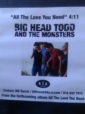 All the Love You Need