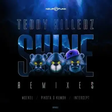 Shine (remixes)