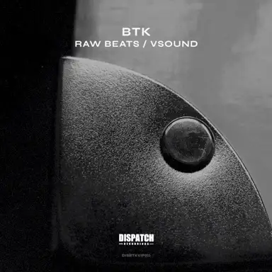 Raw Beats / VSound