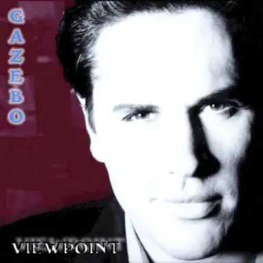 Viewpoint