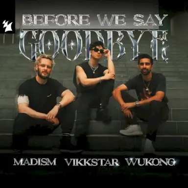 Before We Say Goodbye