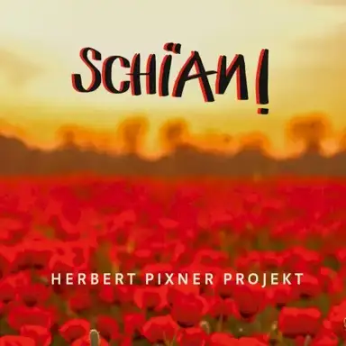 Schian!