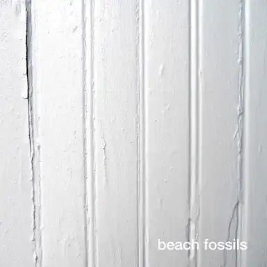 Beach Fossils