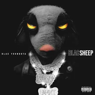Blac Sheep