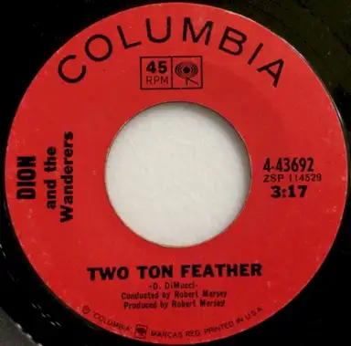 Two Ton Feather / So Much Younger