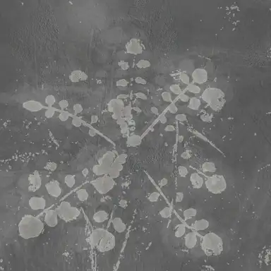 Music For Melted Floors
