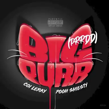 BIG PURR (Prrdd)