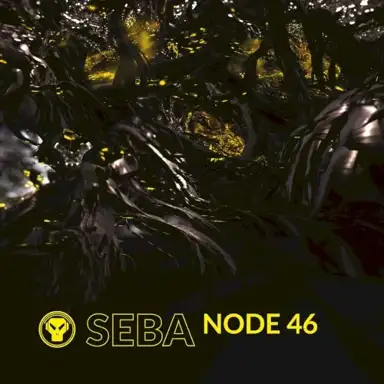 Node 46