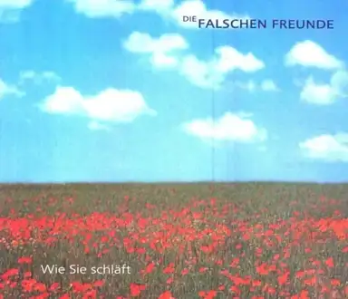Wie Sie schläft