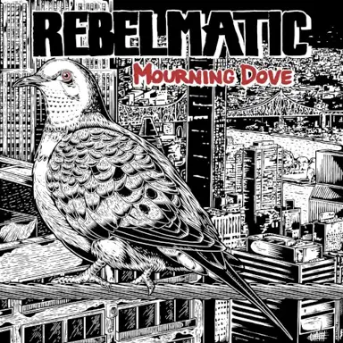 Mourning Dove