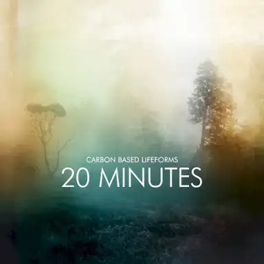 20 Minutes
