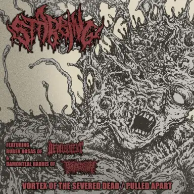 Vortex of the Severed Dead / Pulled Apart