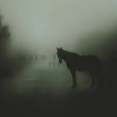 When I'm Gone