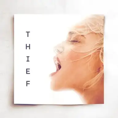Thief