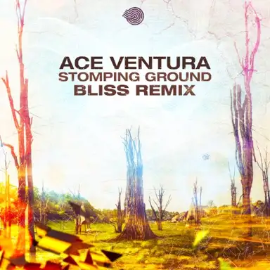 Stomping Ground (Bliss remix)