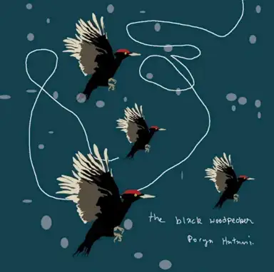 The Black Woodpecker