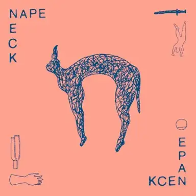 Nape Neck