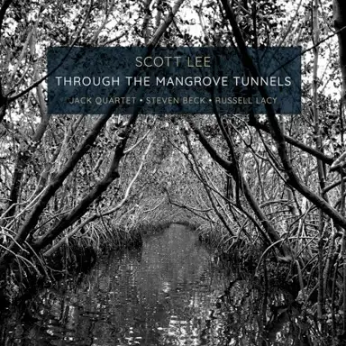Through the Mangrove Tunnels