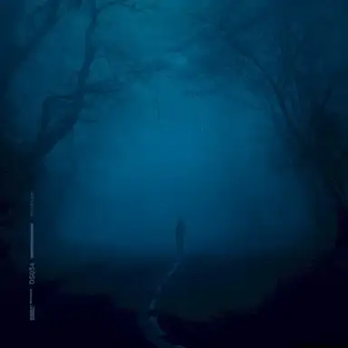 snowfall (slowed + reverb)