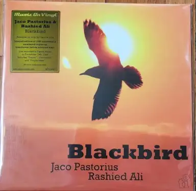 Blackbird