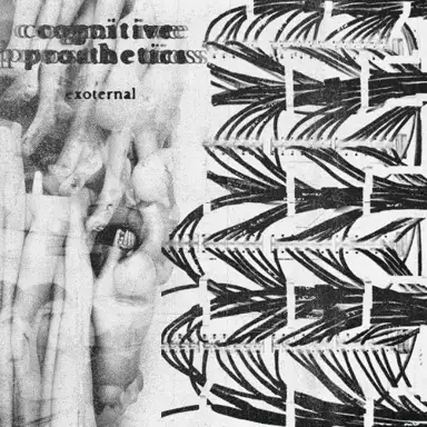 Cognitive Prosthetics